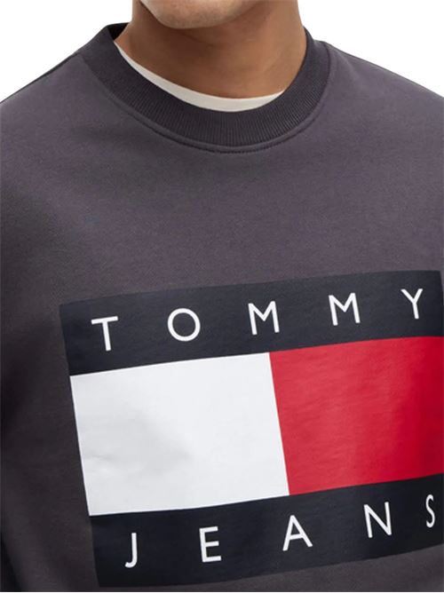 Felpa girocollo regular fit Tommy Jeans | DM0DM22643P08